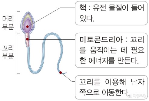 사이언스 리포트 : 네이버 블로그