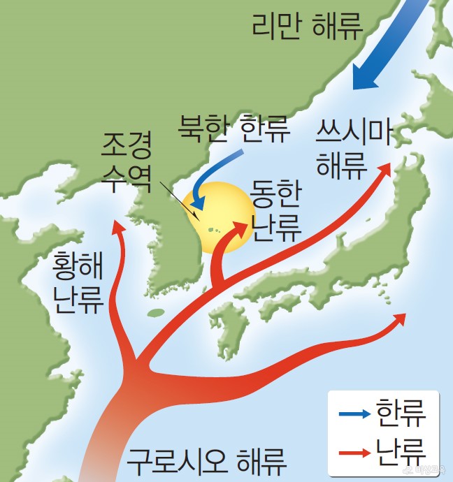 해수의 표층 순환 - 우리나라 주변의 표층 해류