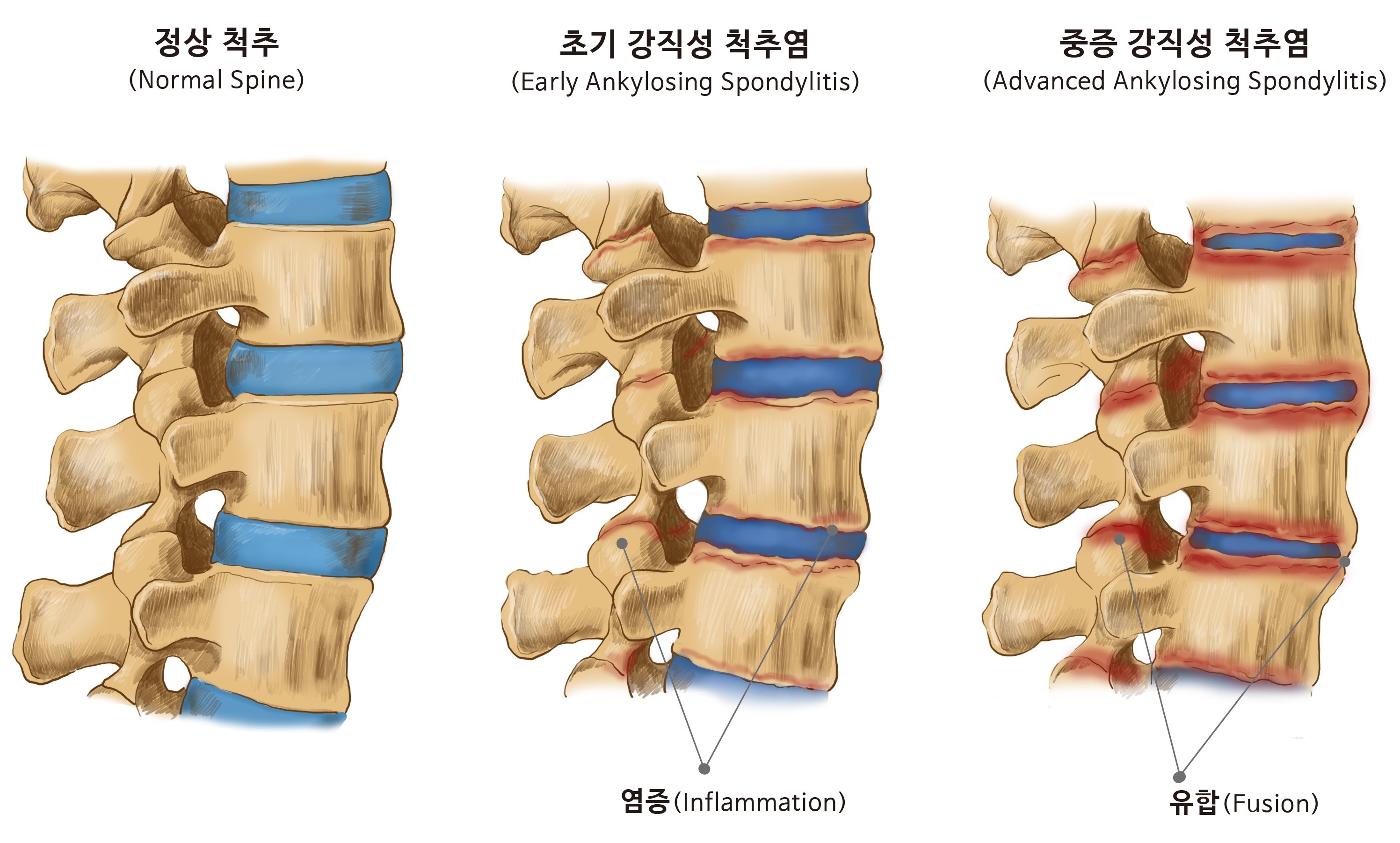 행정사최경록사무소 이미지
