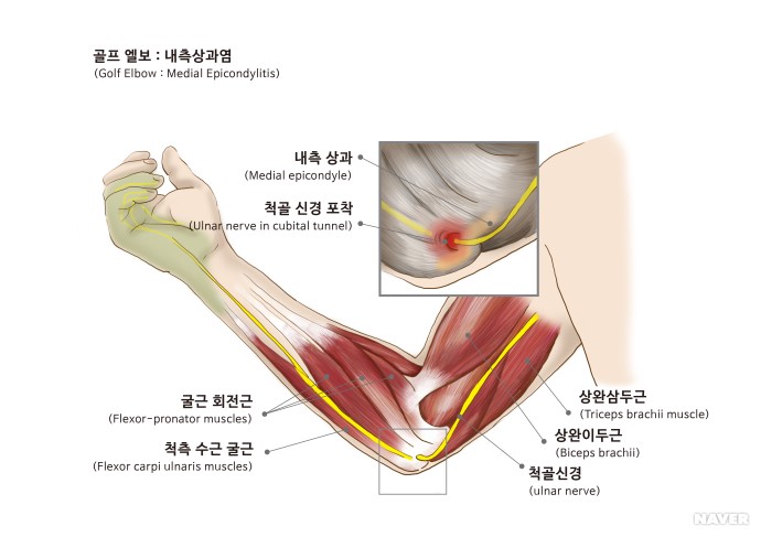 동서한의원 이미지