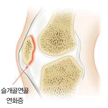 연화한의원 이미지