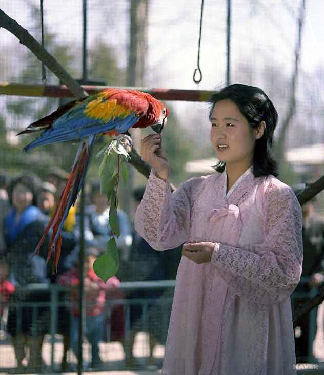 중앙동물원 - 대성구역 대성산동물원