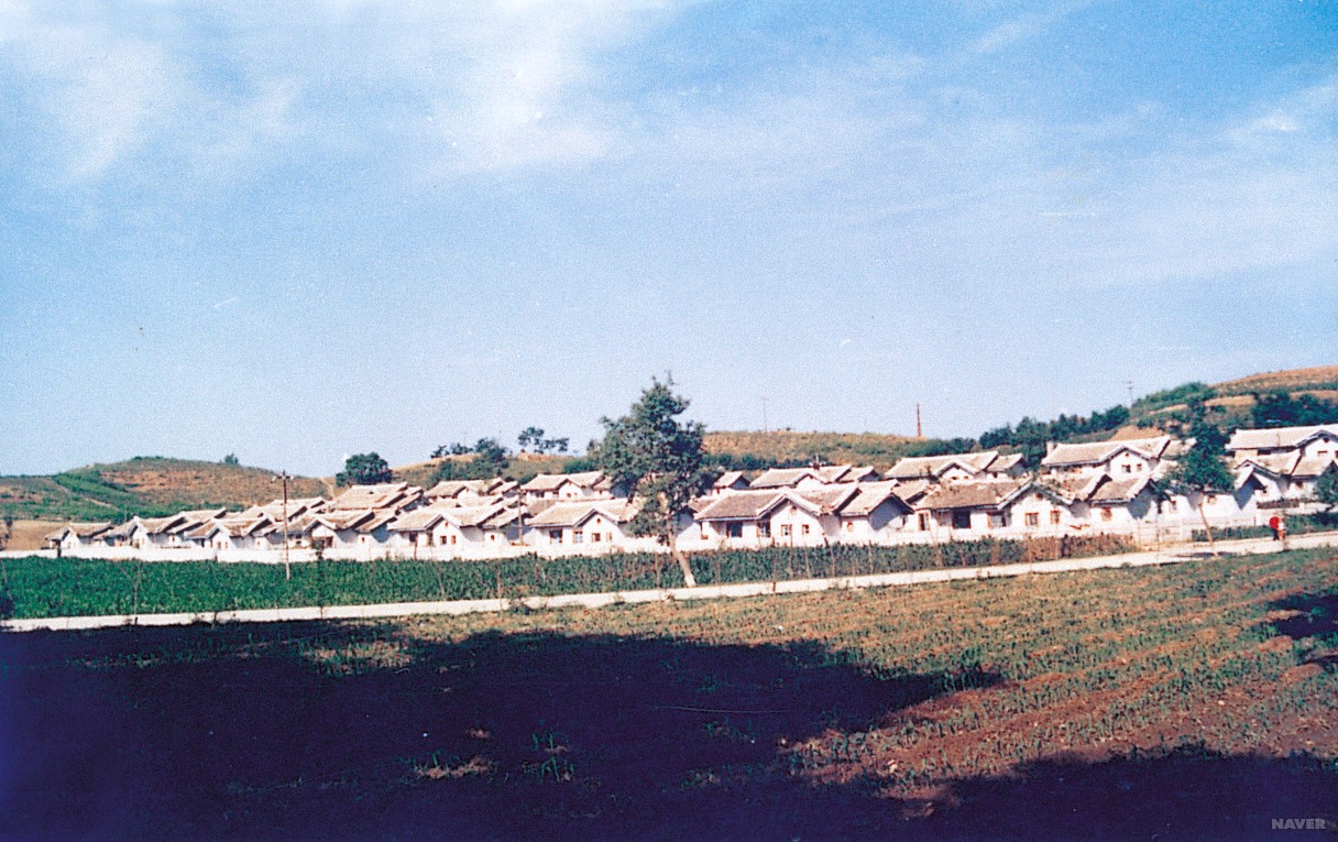 복현 - 송태리 신복