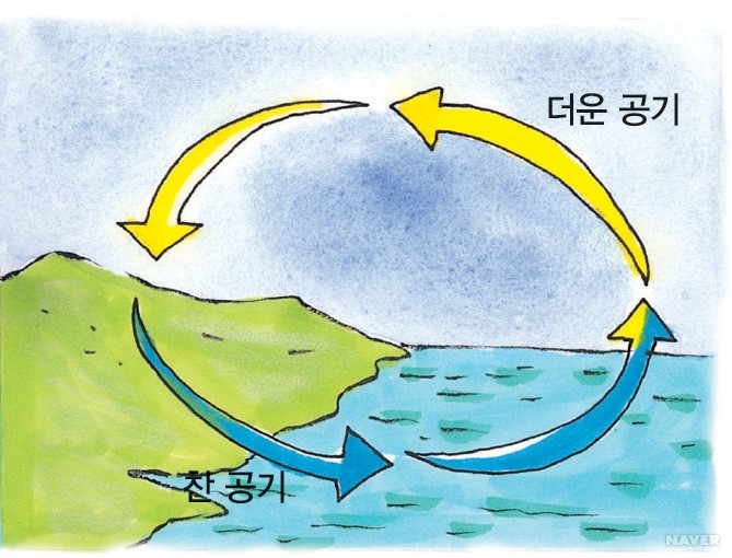 신비한 물 - 비열 차이 때문에 발생하는 육풍과 해풍
