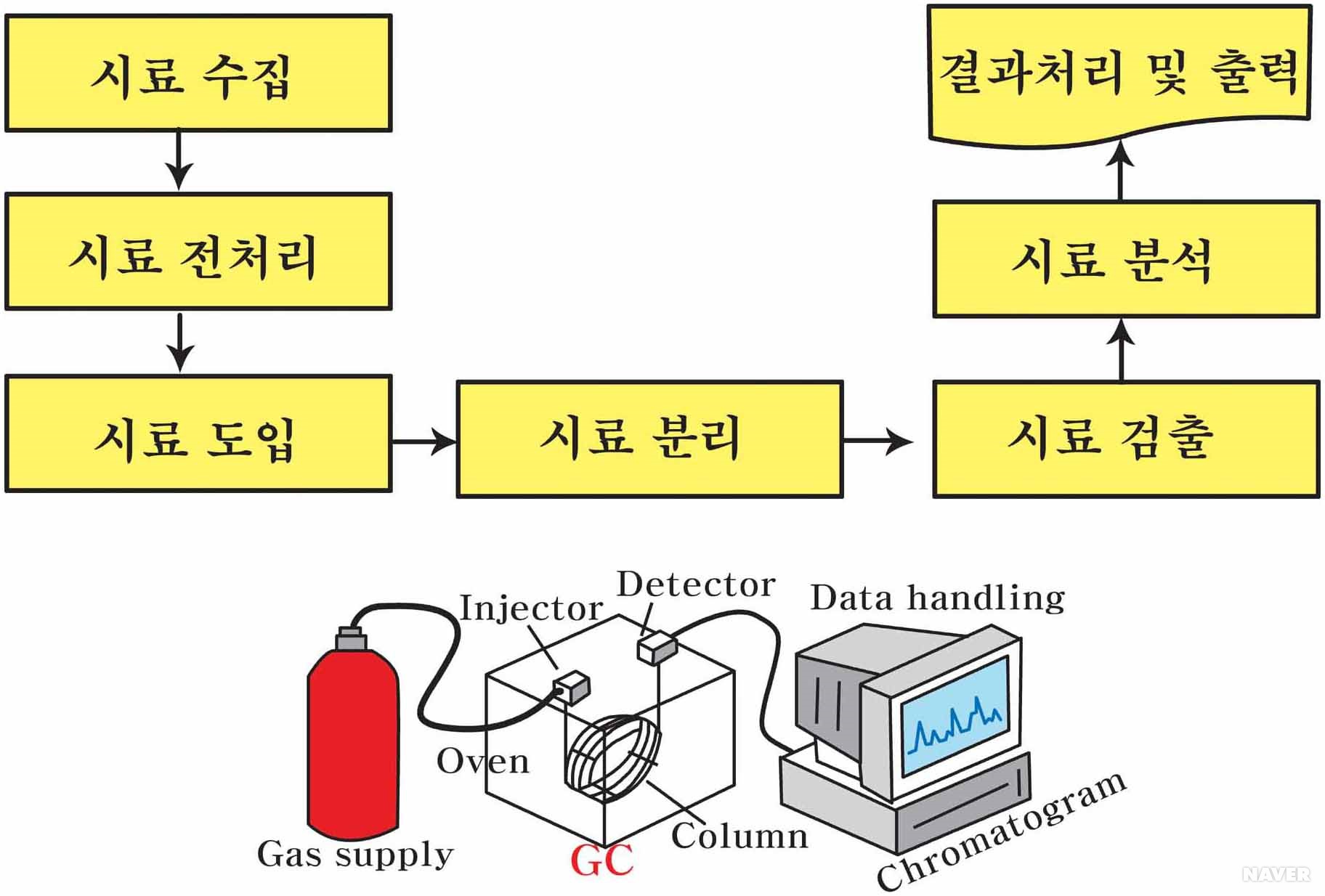 그래피(318060) 관련 이미지 2