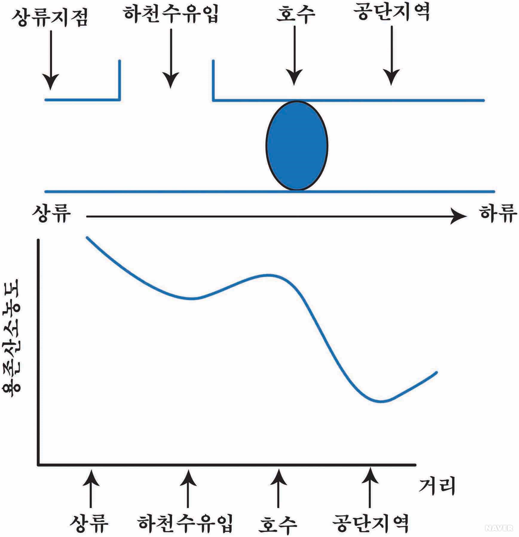 산소부족곡선 - 유하거리에 따른 용존산소 농도곡선