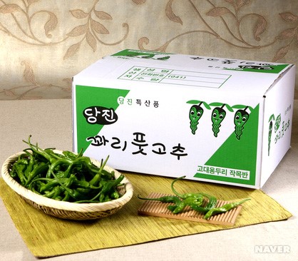 당진시 - 꽈리고추