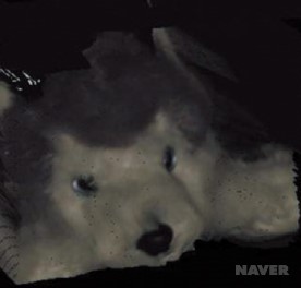 〈사진 4〉 ARGOS가 만들어낸 3D 강아지 인형