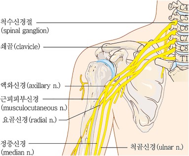 상도한의원 이미지