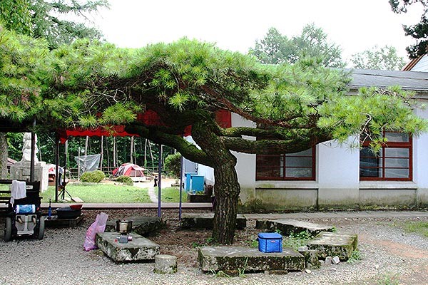 횡성 별빛마을 서울캠핑장