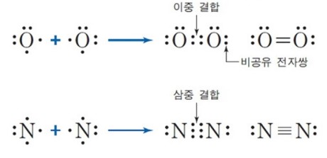 산소와 질소의 구조