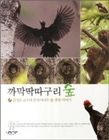 까막딱따구리 숲: 은사시나무 숲 생명 이야기