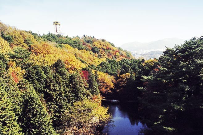 가을풍경