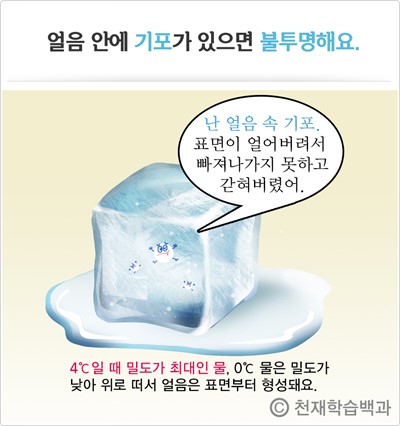 투명한 얼음 vs 불투명한 얼음 본문 이미지 2