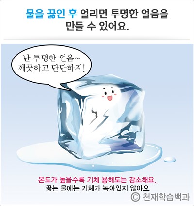 투명한 얼음 vs 불투명한 얼음 본문 이미지 3