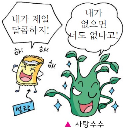 달콤하다