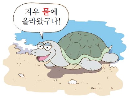 육지