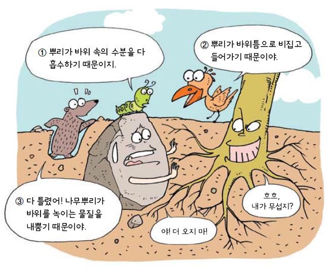 나무뿌리가 바위를 깨뜨릴 수 있다고?
