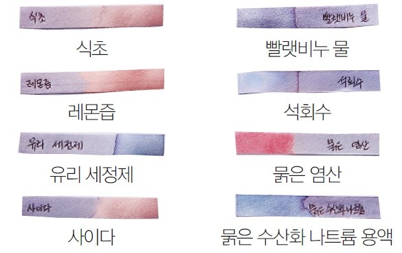 지시약으로 용액 분류하기 - 푸른색 리트머스 종이의 색깔 변화