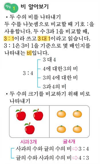 [핵심정리] 비와 비율