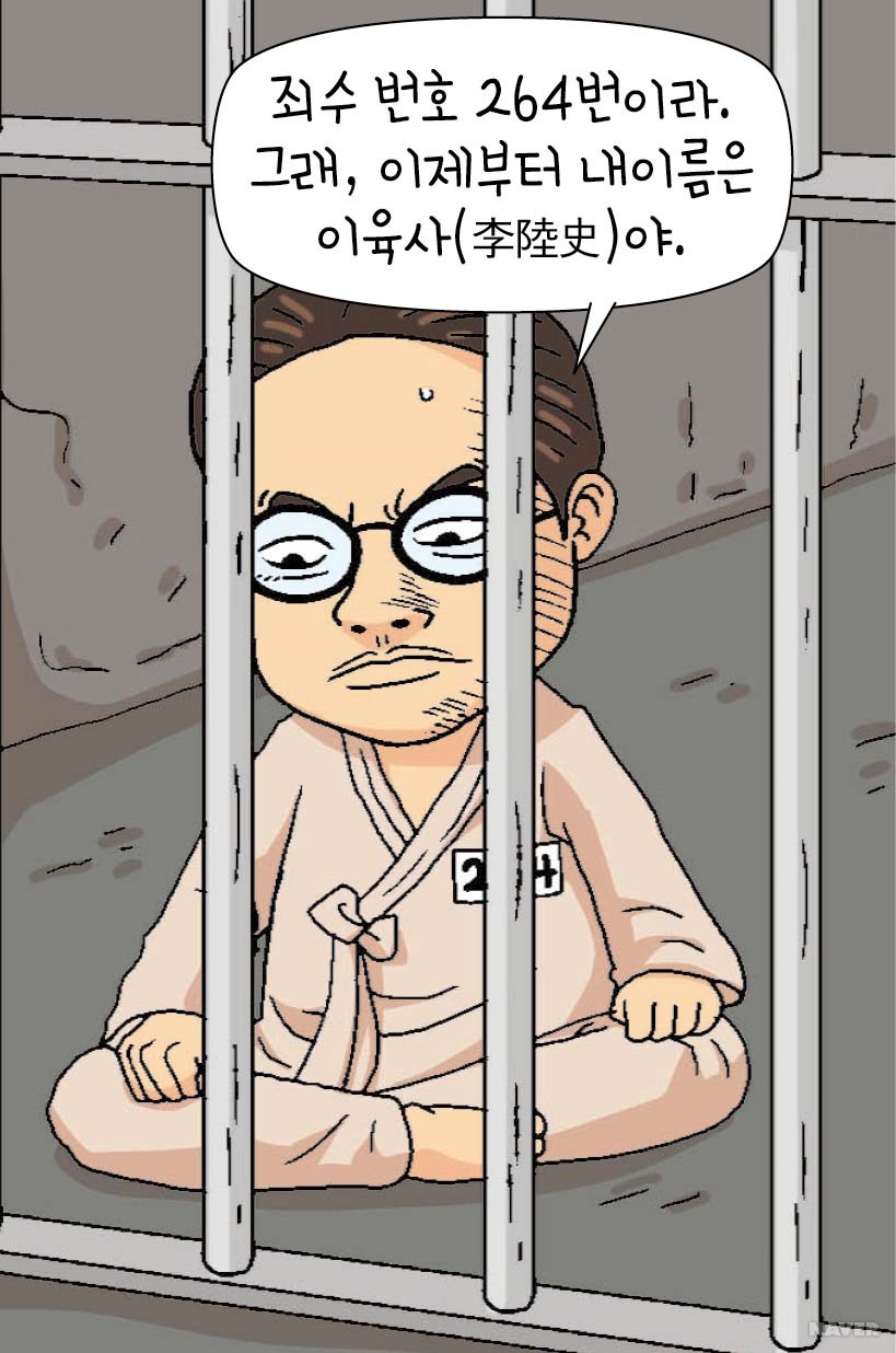 죄수 번호 264번, 저항 시인 이육사 본문 이미지 3