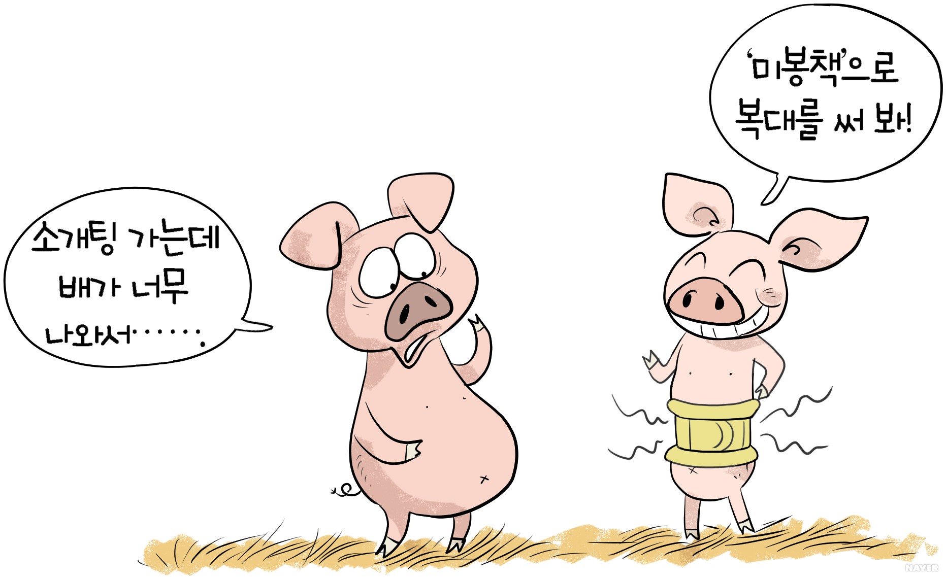 미봉책