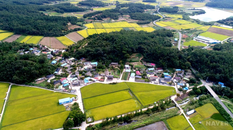 도암면 향촌리 향촌