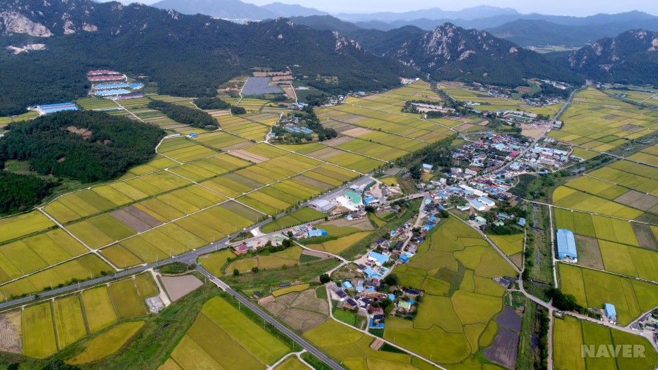 도암면 향촌리 장촌