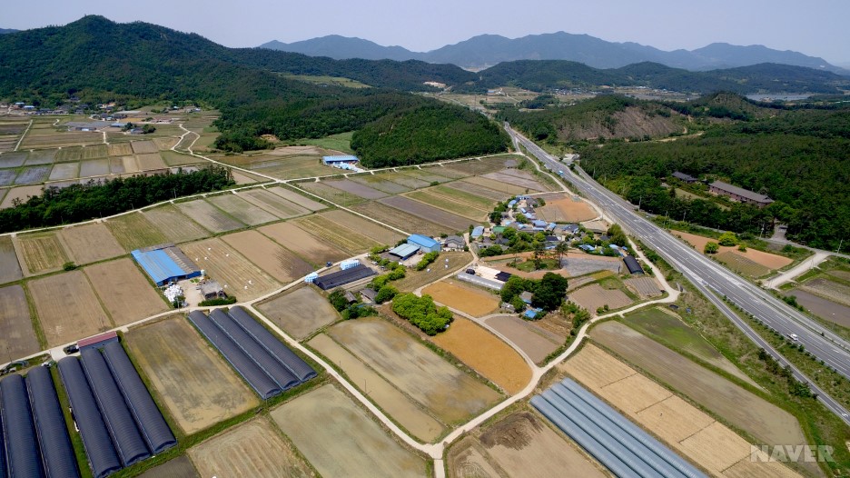 도암면 계라리 영동