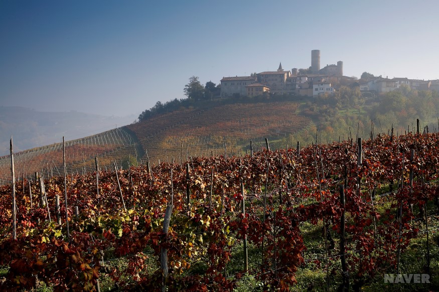Barolo Piemonte 고즈넉 풍경
