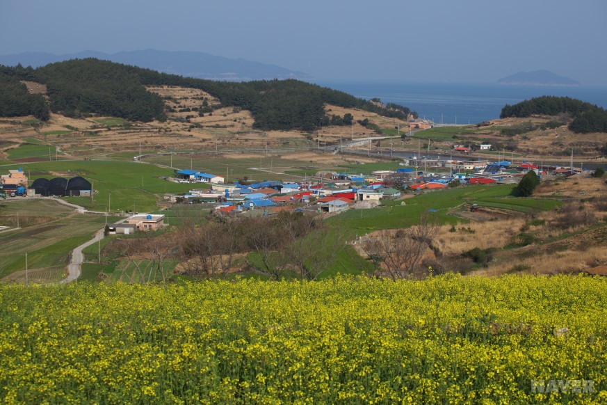 청산도 풍경