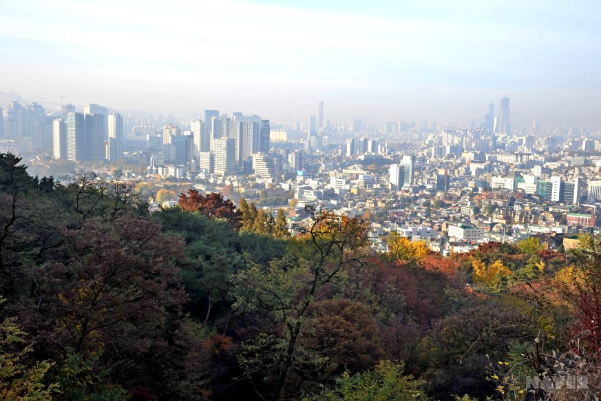 서울 도심