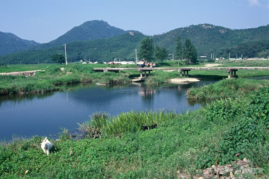 1995년 오복리마을