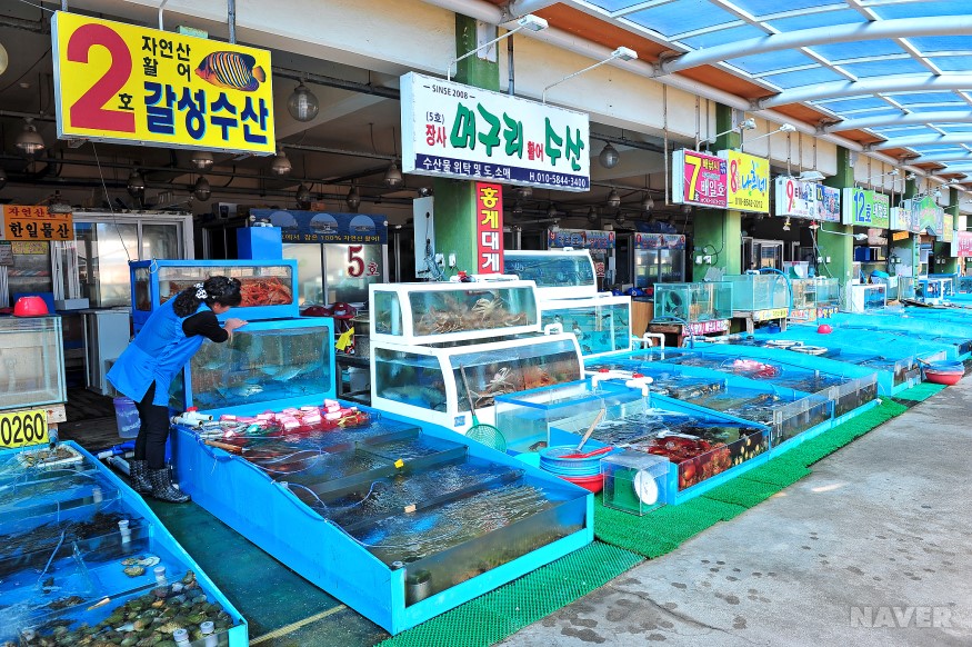 속초 장사항의 풍경