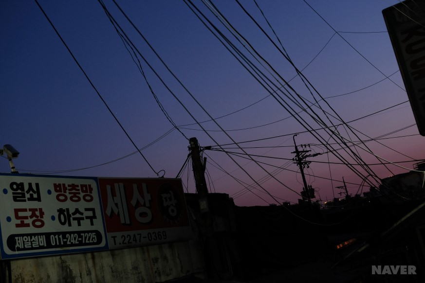 도시일별