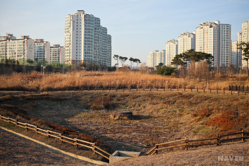 고인돌공원을 거닐다