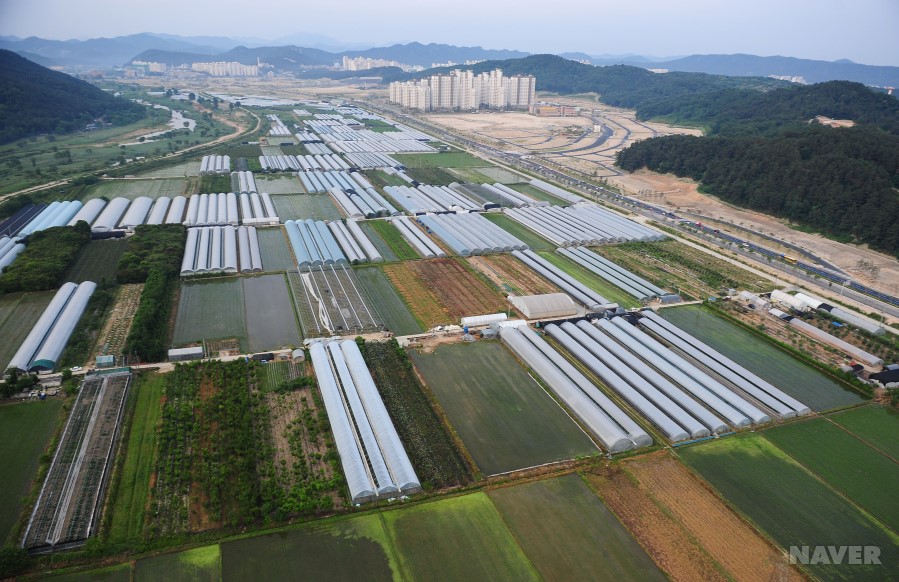 도안지구 호수공원 예정지
