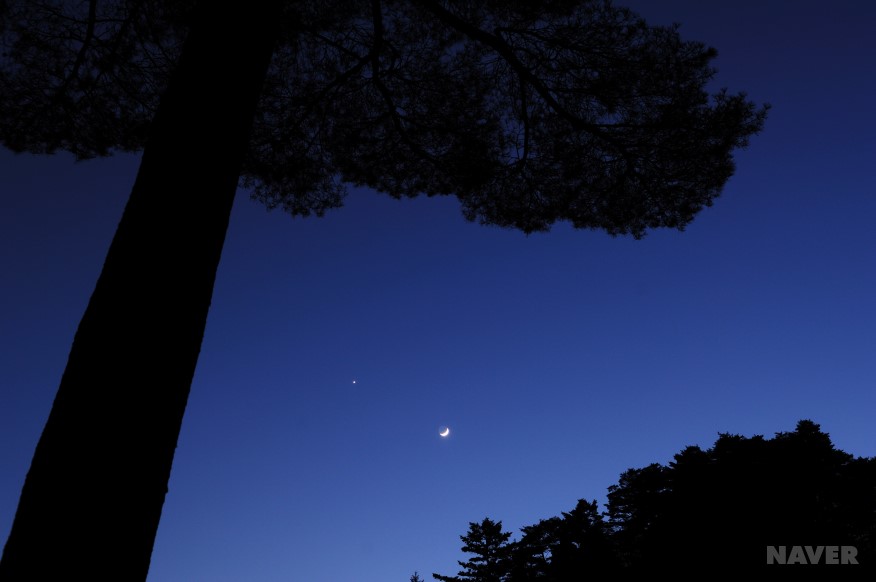 새벽달과 별