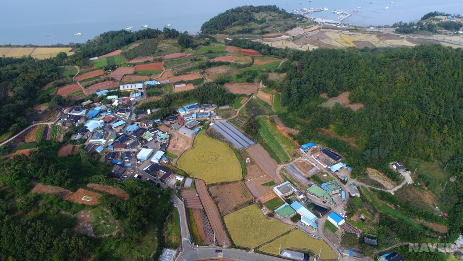 장암리 상장 마을 모습
