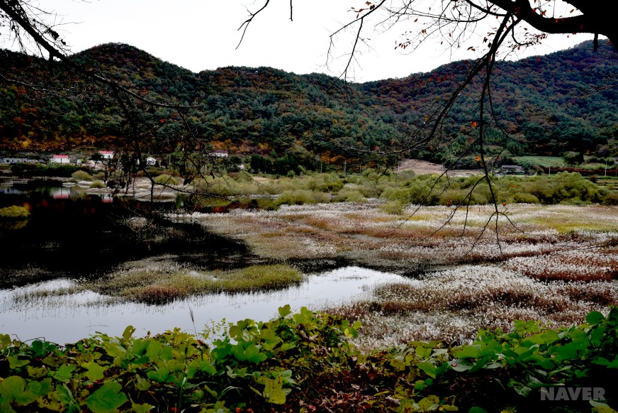 죽산리 상죽 마을 모습