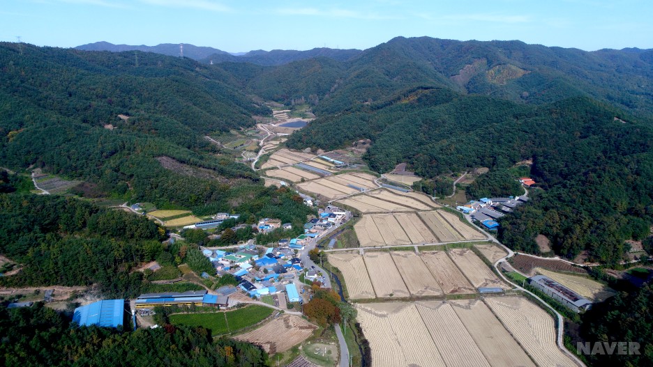 고죽리 고음 마을 모습