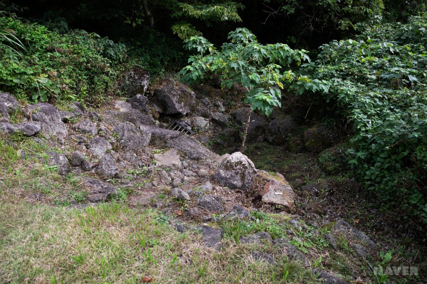 빌레못굴 일대