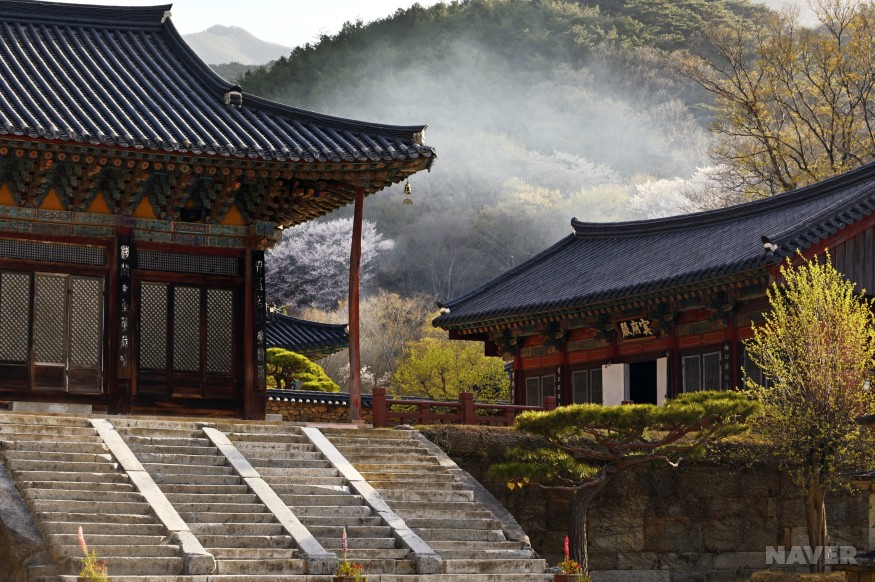 화엄사 전경 3