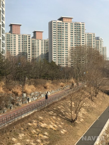 양재동 공원과 아파트