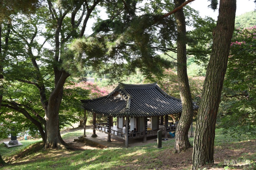 명옥헌의 풍경