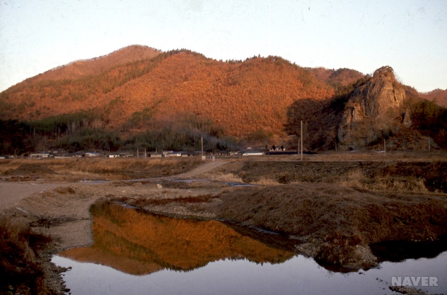 유치면 오복리