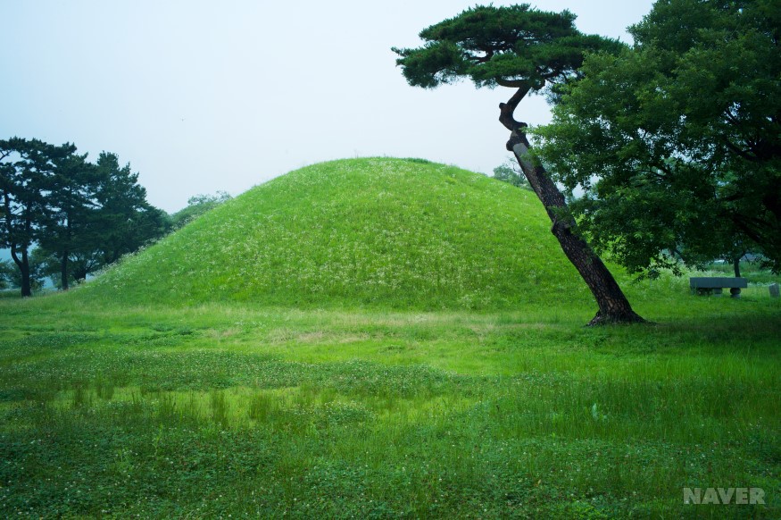 진평왕릉 전경 2