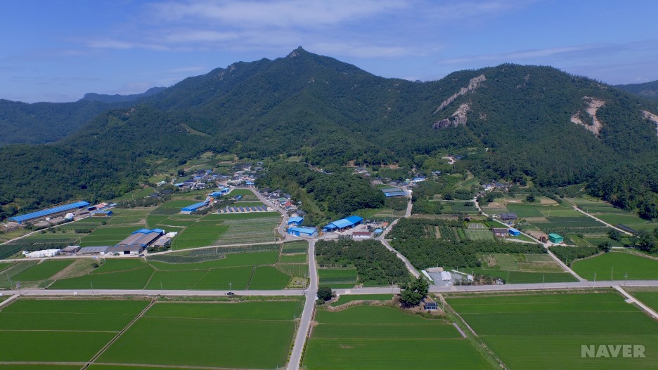 부산 자미