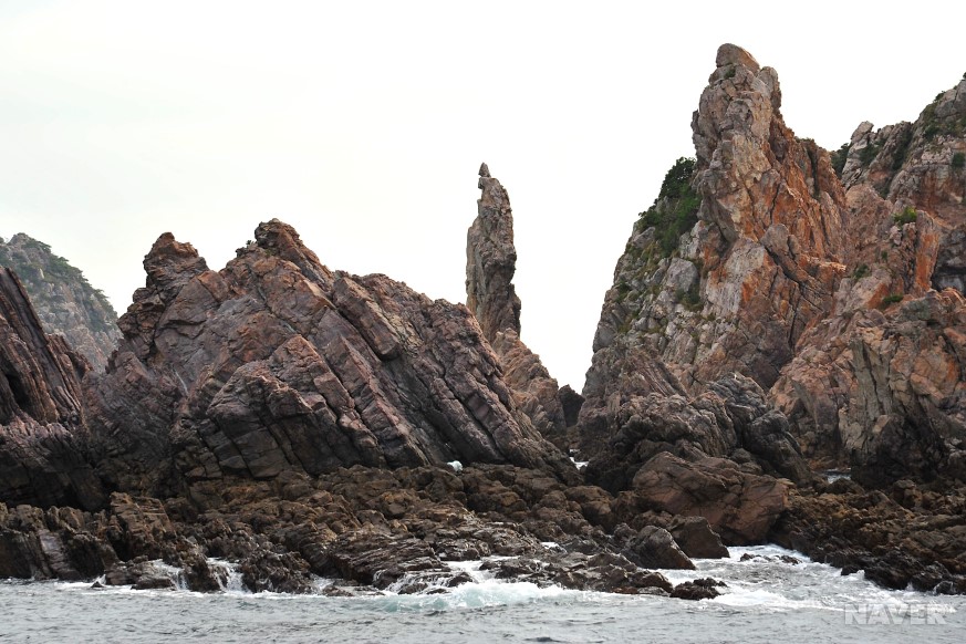 홍도