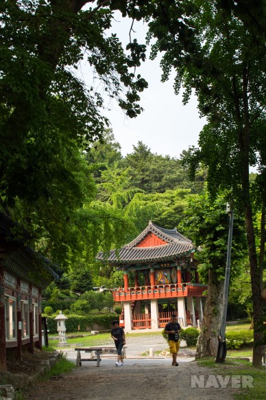 봉선사